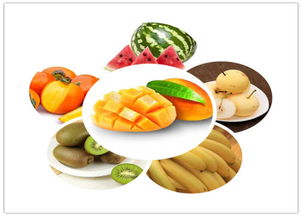 中醫養生保健 守護健康，傳承智慧