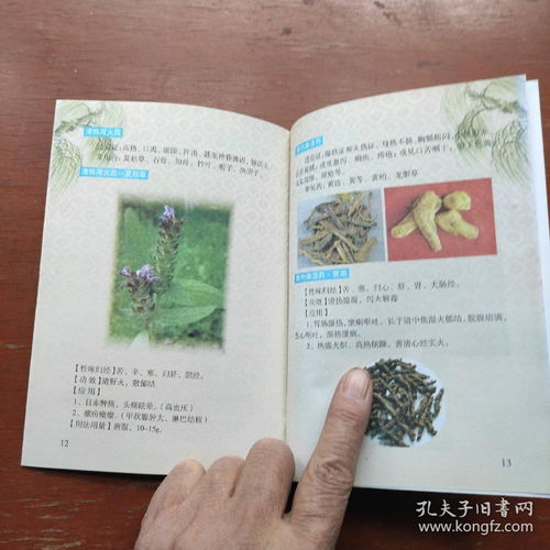 《中醫(yī)養(yǎng)生保健服務(wù)指南 婦女、高血壓及中醫(yī)基礎(chǔ)三冊(cè)精要》